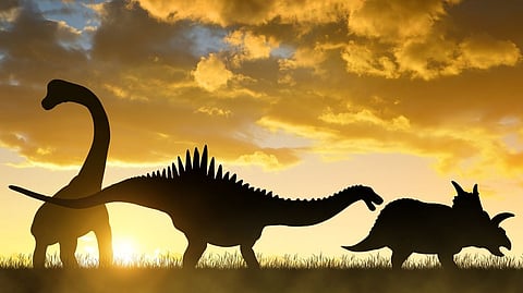 ‘Strangest’ dinosaur covered in spiked armory