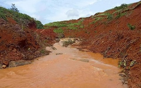 Church, civil groups nix Negros palm oil deal