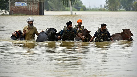 Villages marooned after deadly Punjab floods