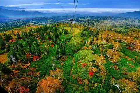 Where autumn comes first: Hokkaido’s hidden seasonal escape