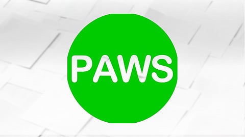 PAWS eyes raps vs ‘abusive’ K9 handler