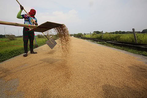 Photograph by analy labor for DAILY TRIBUNE