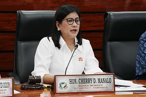 Board Member Cherry Manalo, Chairperson of the Committee on Environment, Natural Resources, Climate, and Agriculture, led the meeting wherein the group discussed the Prescribed Procedures and Standards on Land Reclassification in line with Memorandum Circular No. 54, Series of 1993 and Administrative Order No. 363, Series of 1997.