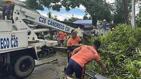 A fallen tree has killed two people following a tornado in Fairview 2, Barangay Magang, Daet, Camarines Norte on Sunday morning.
