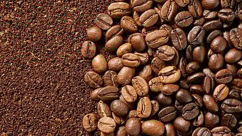 Sultan Kudarat coffee farmers get huge boost