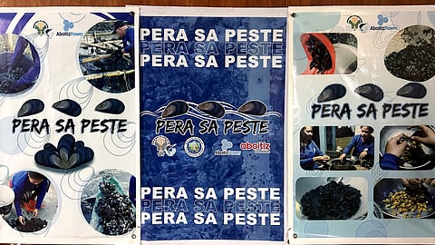 The Bureau of Fisheries and Aquatic Resources – National Brackishwater Fisheries Technology Center (BFAR-NBFTC), Fisheries Iringan Samahan sa Hanapbuhay and Aboitiz subsidiary Therma Luzon, Inc. have officially turned over the Peste Phase II Project to the Oyster Growers Association of Pagbilao (OGAP) of Pagbilao, Quezon Province.