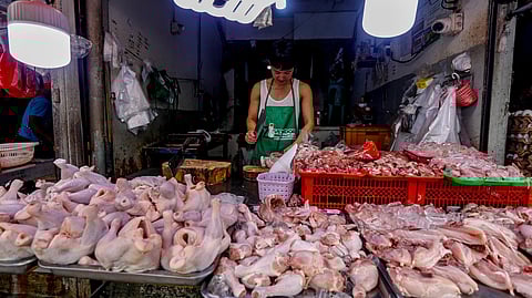DA bans Argentine poultry imports to shield local industry