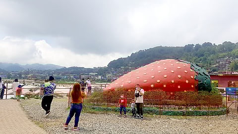 THe conference will be in La Trinidad, Benguet, known for its strawberry farms.