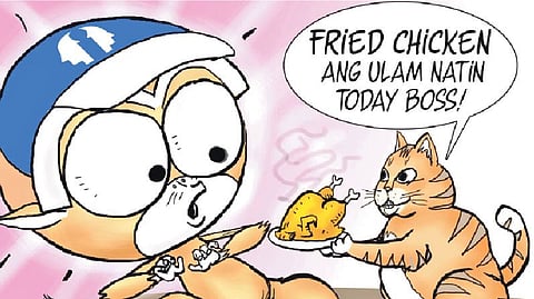 Political animal