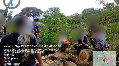 4 illegal loggers arrested