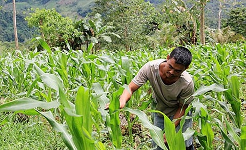 Over 1,000 Bukidnon farmers get fuel aid