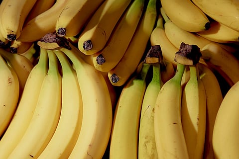 Lower Japan banana tariffs dominate talks