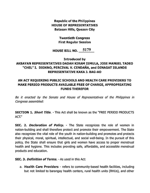 Photo From: Akbayan Partylist Official Facebook page