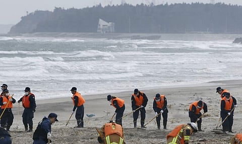 Japan tsunami victim identified after 14 years