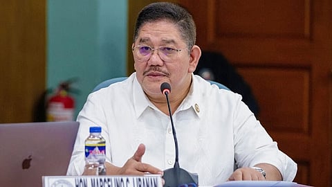 Tunnel or bridge? Solons push Luzon-Visayas link