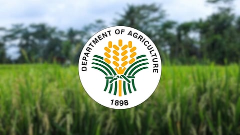 DAR vows stronger palay farmers’ backing