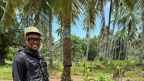 Apl.de.Ap is going green