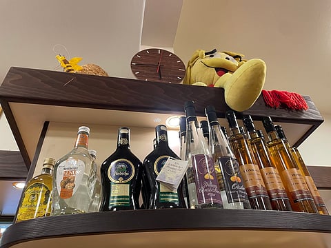 Oktoberfest in Munich is a unique experience that should be in every traveling foodie’s bucket list.