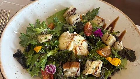 BURRATA with grape jam, baby greens, garlic croutons and cherry tomatoes.