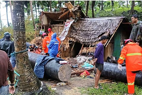 Storm’s deadly wrath A buli tree, torn loose by typhoon Ramil’s violent gusts, crushed a family’s home in Barangay Kawayanin, leaving five dead beneath the wreckage.