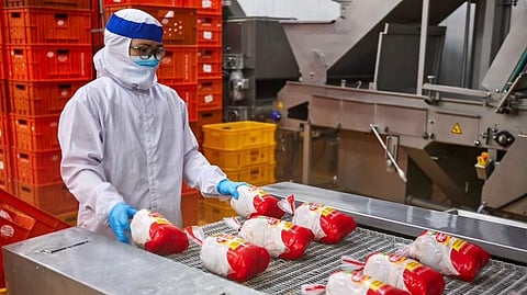 A Bounty Fresh plant worker trained to be always conscious of the company’s rigid safety and quality standards while in the work space.