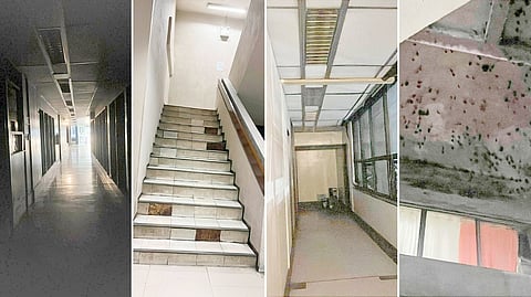 Bat cave evolves Dark hallways, unsafe stairways and bat-infested ceilings have heightened the fears of Philippine Information Agency employees who worry for their safety inside the deteriorating building.