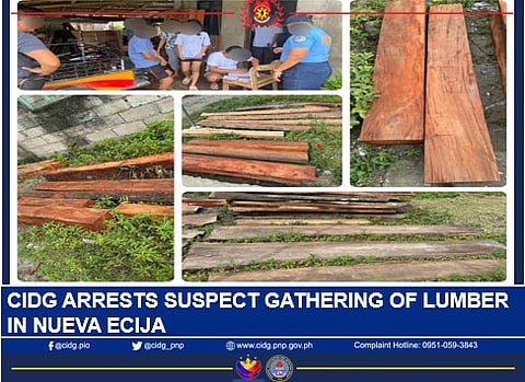 The Criminal Investigation and Detection Group (CIDG) Nueva Ecija Provincial Field Unit (PFU) arrested a man for engaging in illegal gathering of forest products in Barangay Sta. Barbara, San Antonio, Nueva Ecija, on October 18, 2025.