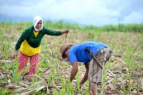 DAR grants land titles, P61.2-M debt relief to farmers