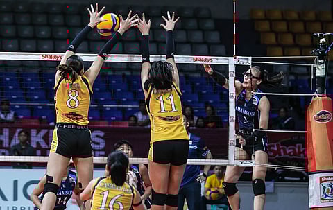 MARGE Altea and Julia Balongit of UST try to stop the attacking Shai Nitura of Adamson during their SSL Preseason Unity Cup semifinals late Sunday. The Tigresses prevailed, 25-22, 25-22, 25-20.