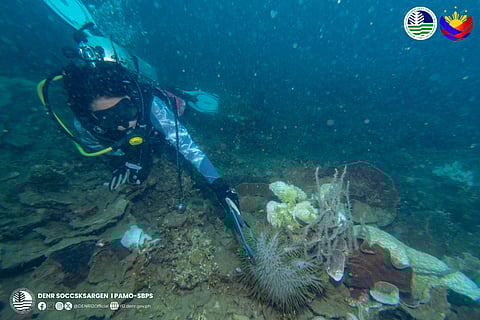 The Protected Area Resource Management and Protection Unit (PARMPU) of the Sarangani Bay Protected Seascape (SBPS) conducted a manual Crown-of-Thorns (COTs) starfish collection and net retrieval operation in Kawas Strict Protection Zone (SPZ), Alabel, Sarangani Province, on 24 October 2025.