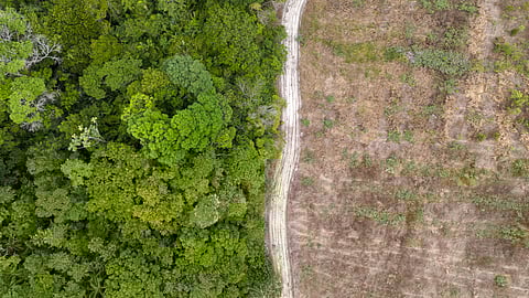 Brazil launches fund to reward nations that protect forests