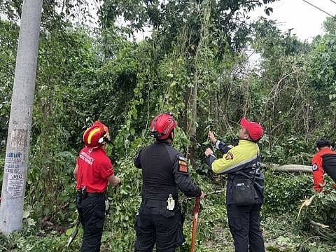 127 missing, 114 dead in Cebu after #TinoPH