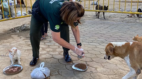 VOLUNTEERS hand out repacked dog and cat food to evacuation centers in Mandaue, Cebu.