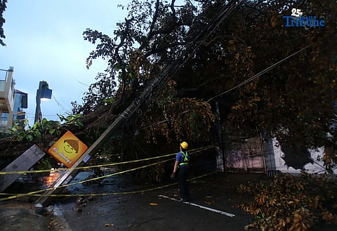 OCD confirms 2 deaths as #UwanPH batters Luzon, Visayas