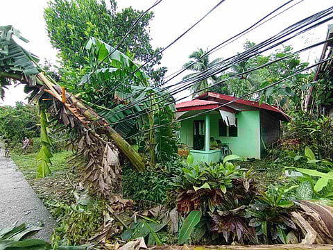 Barangay Danlagan Reserva, Guinayangan, Quezon, is one of the villages that lost power and wifi connection due to toppled power posts and cut electric lines after the onslaught of Supertyphoon Uwa last Sunday.