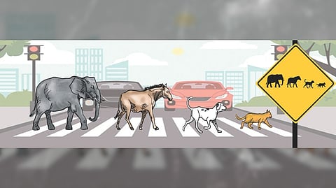 Animals crossing – slow down