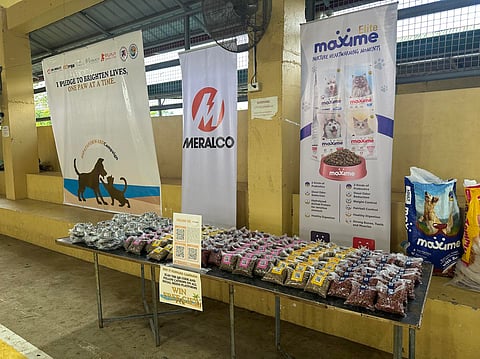 Batangas pets get free spay, vaccines