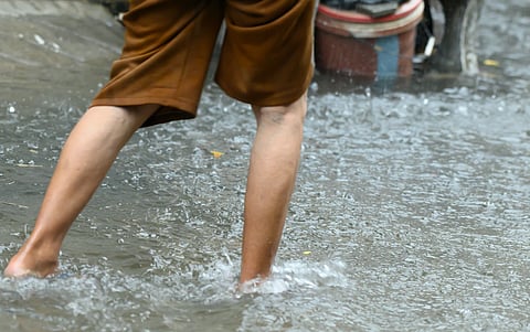 Cebu records 117 leptospirosis cases