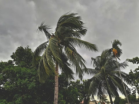 Northern Australia cleans up after cyclone