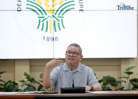 (FILE) Agriculture Secretary Francisco Tiu Laurel Jr.