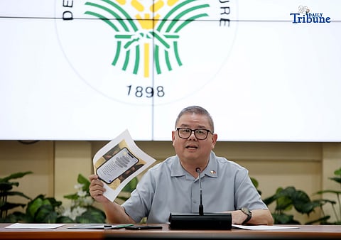 DA invests P300M for climate-smart vegetable farming