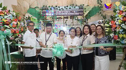 The Department of Agriculture (DA) Regional Field Office 3 (RFO3) kicked off the 11th ng National Organic Agriculture Month at Barangay Maimpis in the City of San Fernando, Pampanga on November 24, 2025.