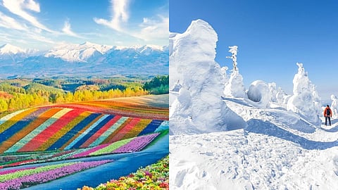 Beyond Tokyo: Discover Hokkaido and Tohoku in every season