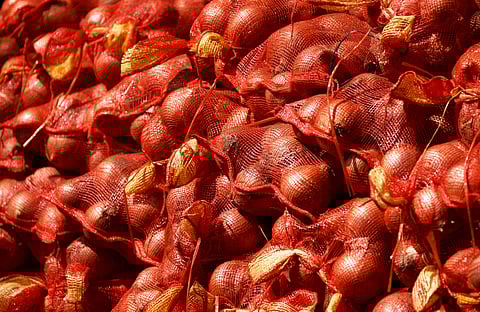 DA sets P120 per kilo onion price cap