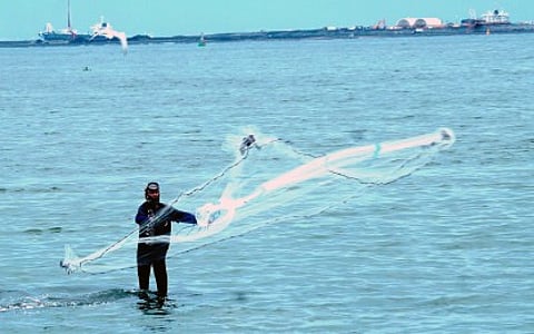 Congress urged: Reject global labor treaty