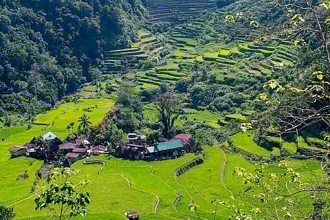 Sagada tours suspended for cultural event