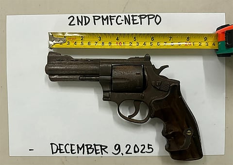 Former Amazon rebel surrenders in Nueva Ecija