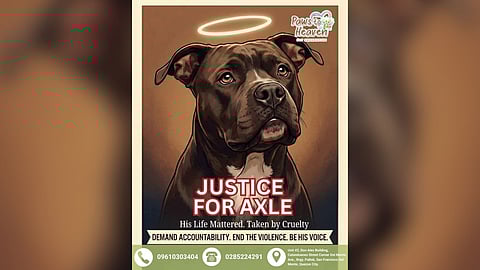 AKF urges accountability after Sadanga dog death