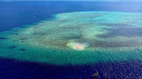 (Files) Escoda Shoal