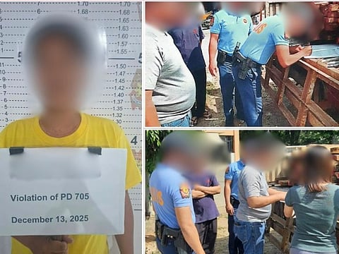 POLICE seized 1,250 board feet of illegally cut wood during a routine anti-criminality and anti-illegal logging patrol at Brgy. Reformista in Limay, Bataan on 13 December 2025.